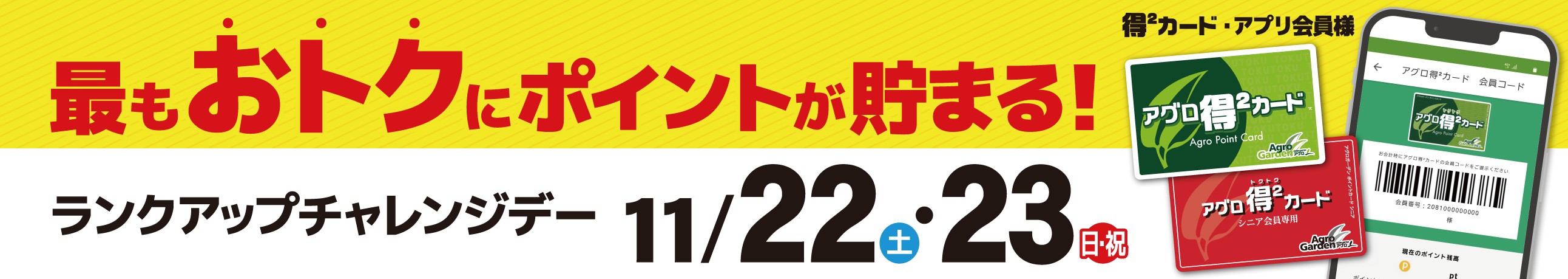 ランクアップチャレンジデー