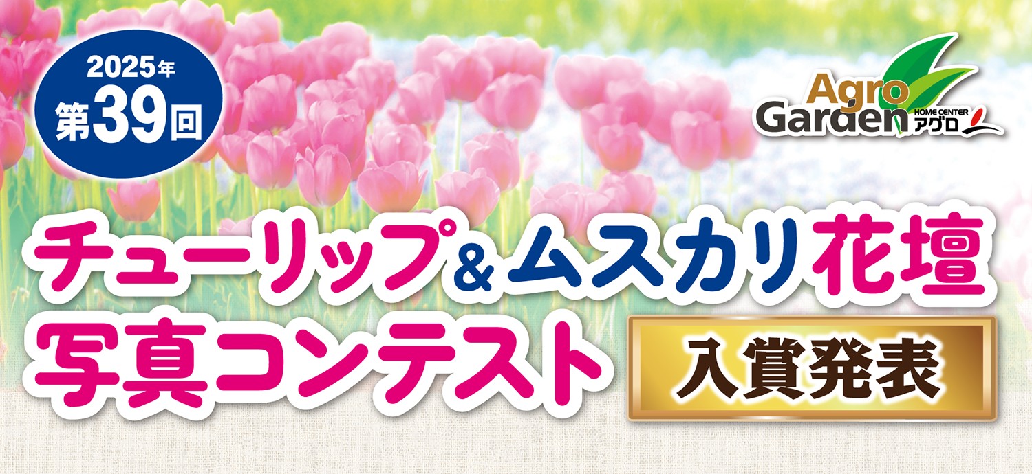 第39回 チューリップ＆ムスカリ花壇写真コンテスト 結果発表