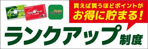 ランクアップバナー