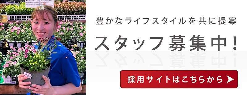 豊かなライフスタイルを共に提案 スタッフ募集中！