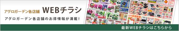 WEBチラシ